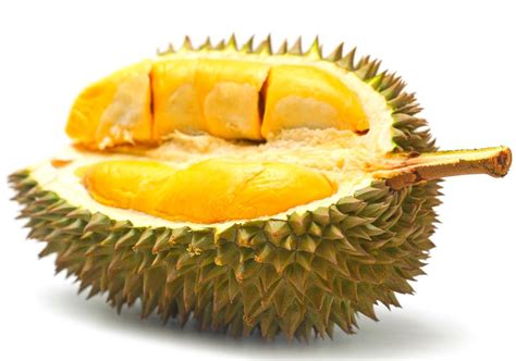 Perlu diketahui Manfaat dan Bahaya Durian bagi Kesehatan