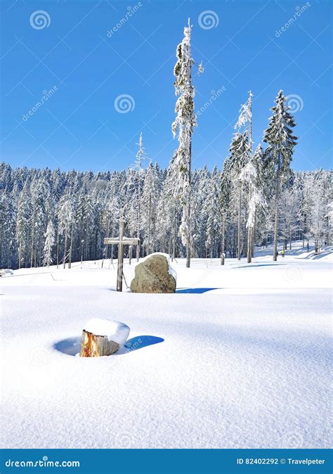 Winter,bavarian Forest,Germany Stock Photo - Image of grosser, park: 82402292