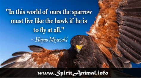 Hawk Quotes - Spirit Animal Info