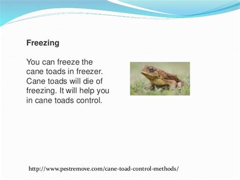 Cane toad control methods