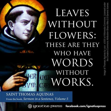 Thomas Aquinas Quotes On Education. QuotesGram