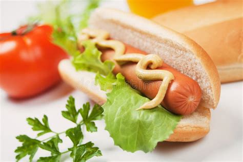 Hot dog with mustard stock image. Image of lettuce, mustard - 22691543