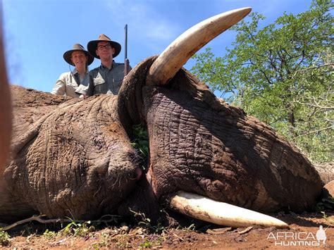 Elephant Hunting Zimbabwe | AfricaHunting.com