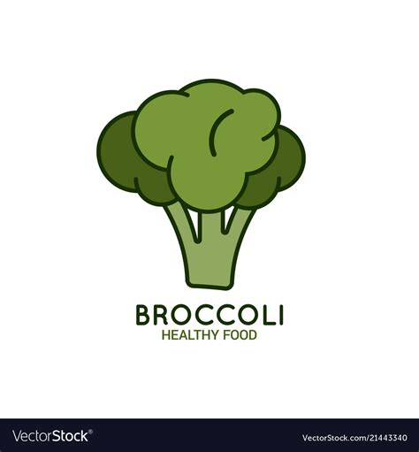 Broccoli logo on white background Royalty Free Vector Image