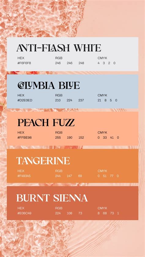 Peach fuzz contrasting color palette - PANTONE color of the year 2024 ...