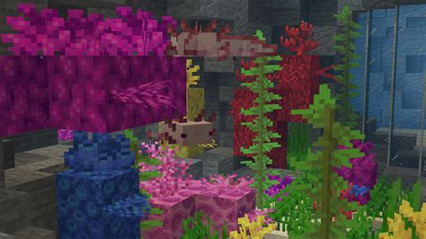 Axolotl Aquarium : r/Minecraft