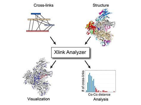 Xlink Analyzer