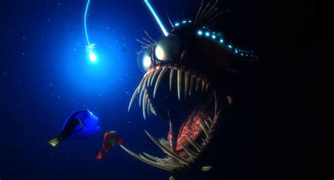 Check Out This Rare Footage of a Deep-Sea Anglerfish [VIDEO] | Scary fish, Angler fish, Finding nemo