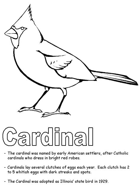 Cardinal coloring page