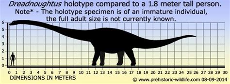 Dreadnoughtus - Alchetron, The Free Social Encyclopedia