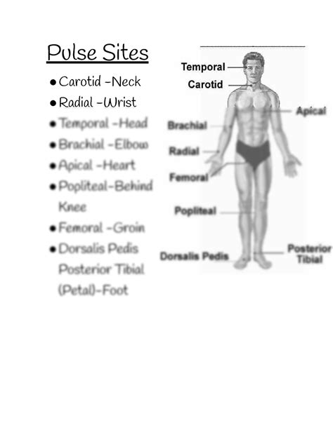 SOLUTION: Pulse sites - Studypool