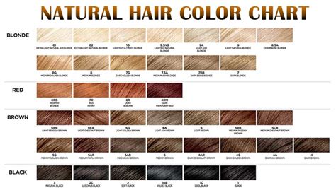 Natural Black Hair Color Chart