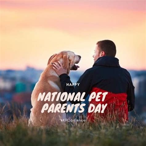 K9 CarFence on Instagram: “Happy National Pet Parents Day! https://www.k9carfence.com/national ...