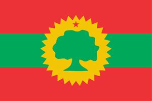 Oromia Flag Logo Download png