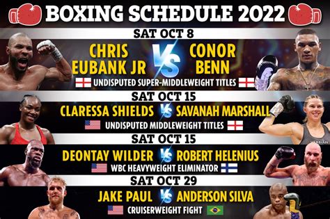 Upcoming Boxing Matches 2024 Tickets - Talya Fernanda