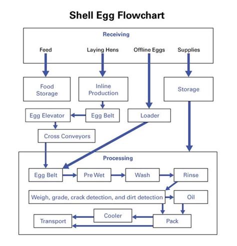 HACCP Flow Chart Guide