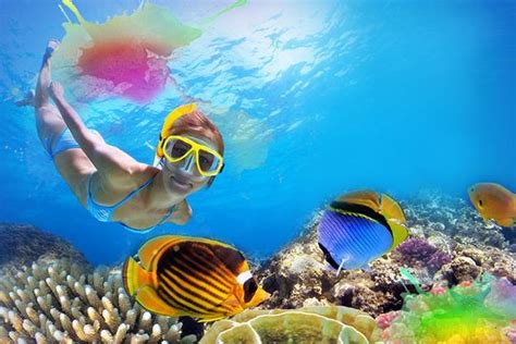 1-Hour Snorkeling Tour And Beach Club Admission With Lunch In Cozumel ...