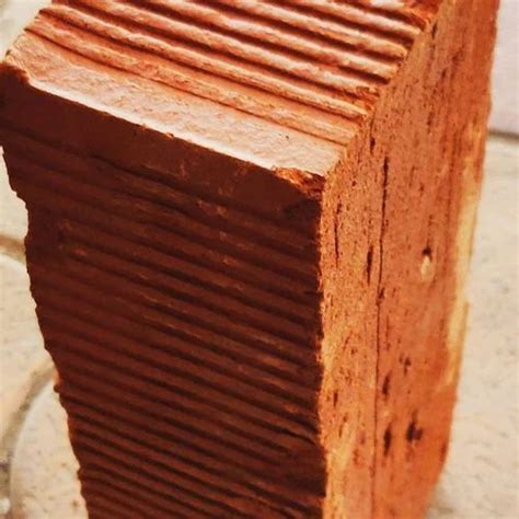 Wire Cut Clay Bricks, 9 in x 4 in x 3 in at Rs 7/piece in Ghaziabad | ID: 2852128221497