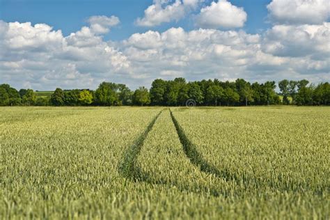 Agriculture in Bavaria Germany Stock Image - Image of ecology ...