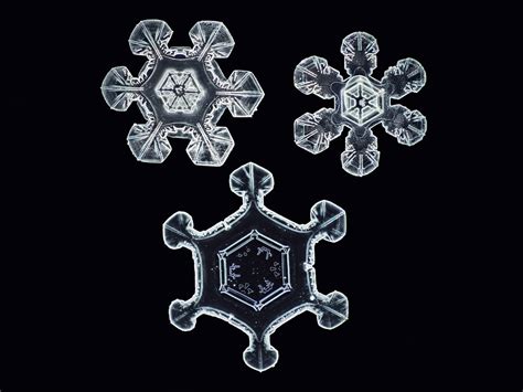 Snowflakes Nathan Myhrvold Official Site