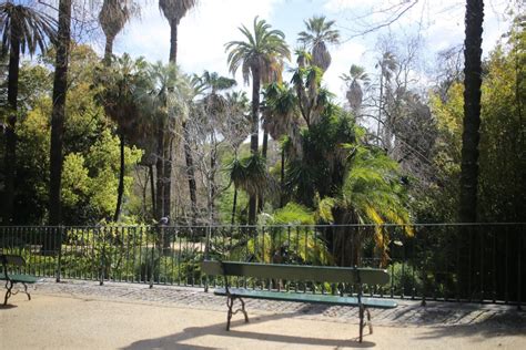 Jardim Botanico | Home Lisbon Hostel