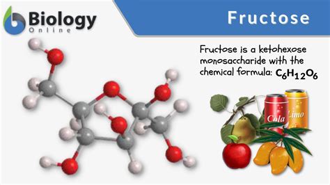 Fructose Definition and Examples - Biology Online Dictionary