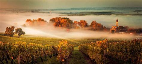 Bordeaux Wine Region: Regional Guide, Wine Styles & Sub-Regions