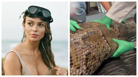 Bikini Model Scientist Rosie Moore Cuts A Five-Foot Alligator Out