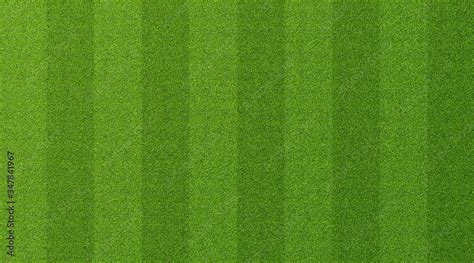 Green grass texture for sport background. Detailed pattern of green soccer field or football ...