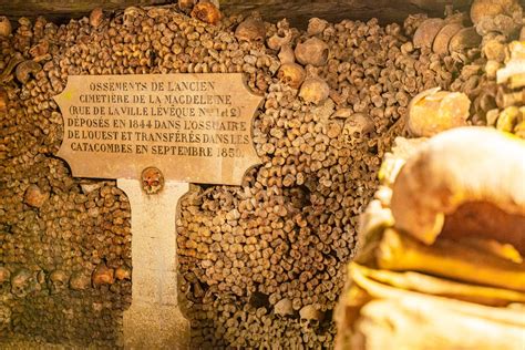 Visiting the Paris Catacombs: The Complete Guide