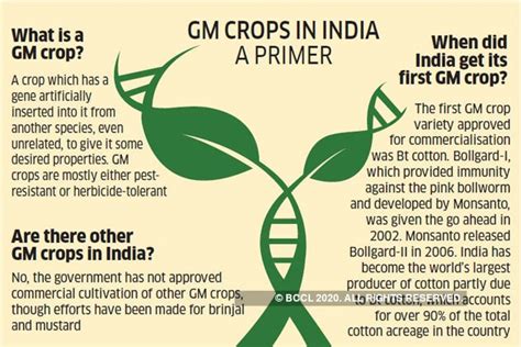 Insights into Editorial: The twisted trajectory of Bt cotton - INSIGHTS IAS - Simplifying UPSC ...