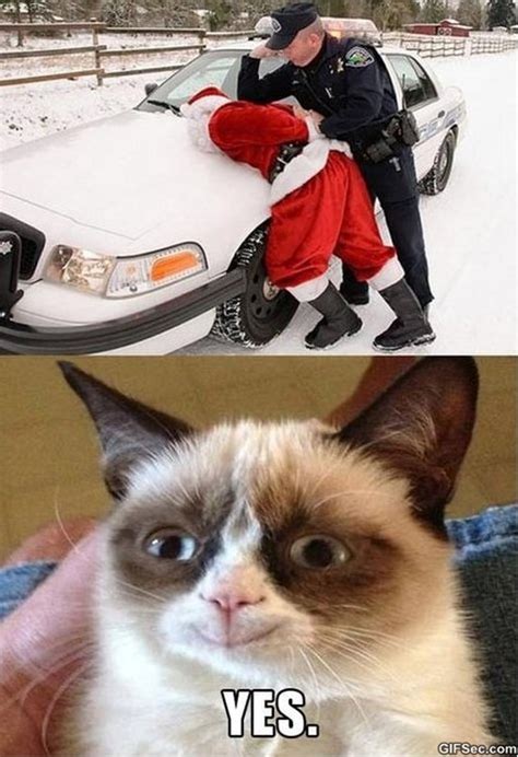 Grumpy Cat vs. Santa Gets Arrested MEME 2015