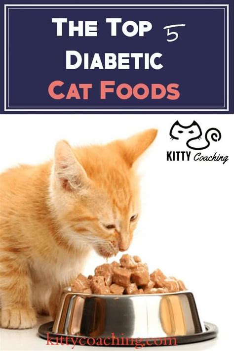 High Protein Low Carb Cat Food For Diabetic Cats - Cat Lovster