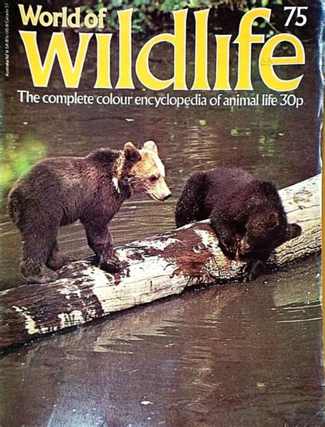 WORLD OF WILDLIFE No 75 BEARS Habitat DIET Hibernation URSIDAE Orbis 1977 £3.85 - PicClick UK