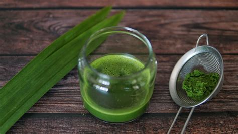 How to Make Pandan Juice & Extract? - The Bakeanista