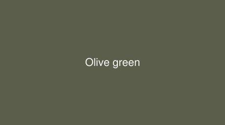 RAL Olive green [RAL 6003] Color in RAL Classic chart