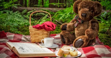 It's picnic time for teddy bears - Porirua City