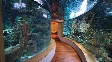 Aquarium Terrarium, Home Aquarium, Aquarium Design, Aquarium Fish Tank ...