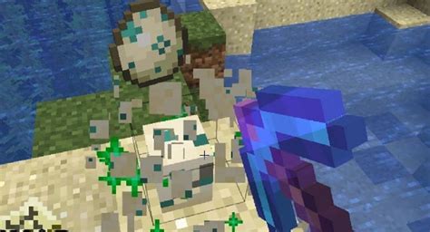 Turtle Eggs in Minecraft: Everything players need to know