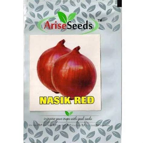 Arise Seeds Onion Seeds, for Agriculture at Rs 375/kilogram in Jaipur ...