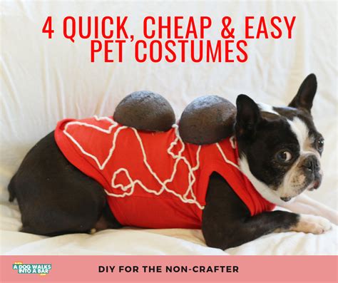 Four Quick, Cheap and Easy DIY Dog Costumes