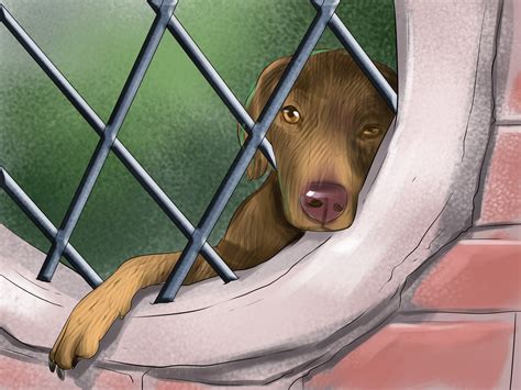 How to Prevent Ascarids in Dogs: 9 Steps (with Pictures) - wikiHow