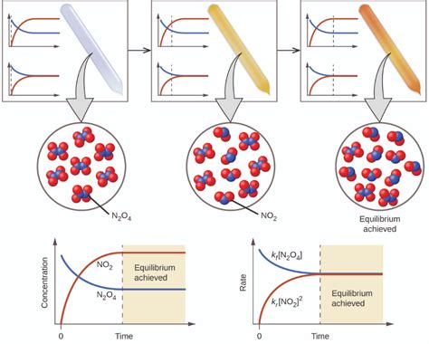 4.1 – Introduction à l’équilibre chimique – La Chimie Générale pour les ...