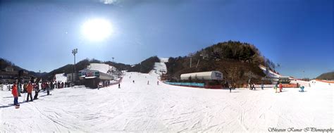 Elysian ski resort, South Korea... | Places to visit, Ski resort, Resort