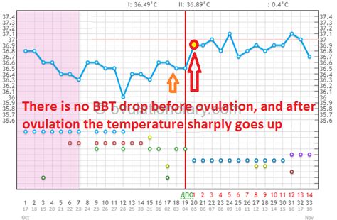 Determining ovulation by Basal Body Temperature (Works ...