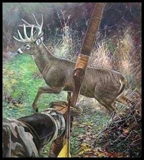 50 Best Traditional Bowhunting ideas | traditional bowhunting, bow hunting, traditional archery