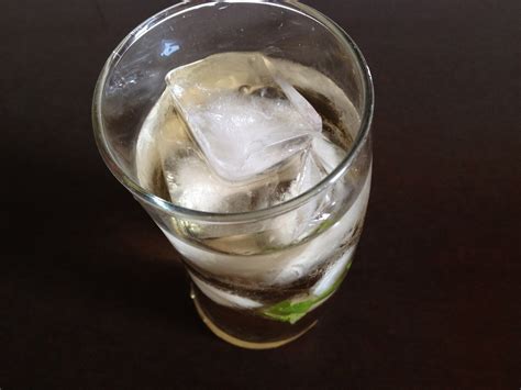 DIY Ice Cubes : 3 Steps - Instructables