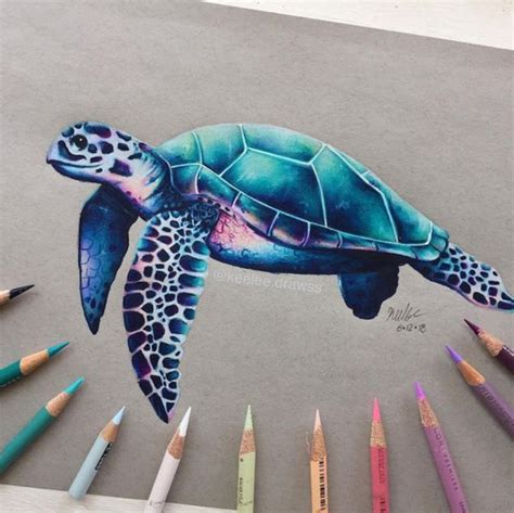 Coloring With Prismacolor Pencils | Turtle drawing, Prismacolor art, Color pencil art