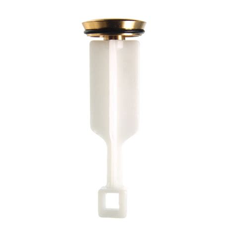 Shop Danco Polished Brass Pop-Up Drain Stopper at Lowes.com