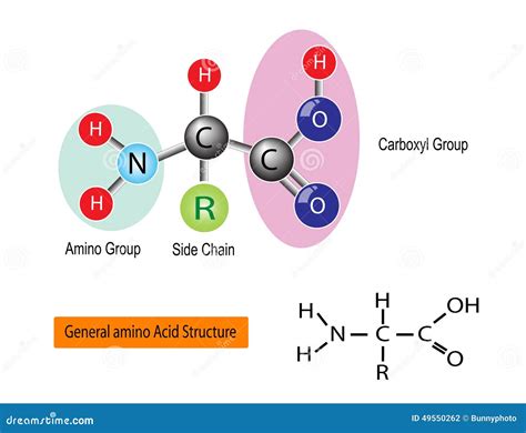 Amino Acid Tyrosine Molecular Structure Royalty-Free Stock Image | CartoonDealer.com #23884114